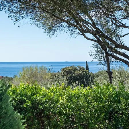Casa Flaminia *